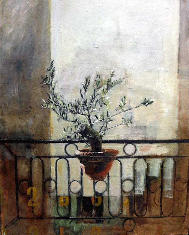 Olive Tree on balcony